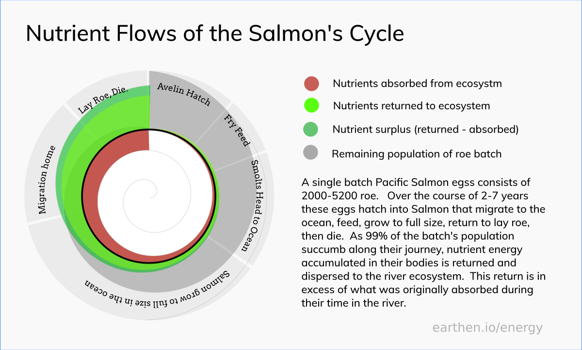 The Salmon's Spiral