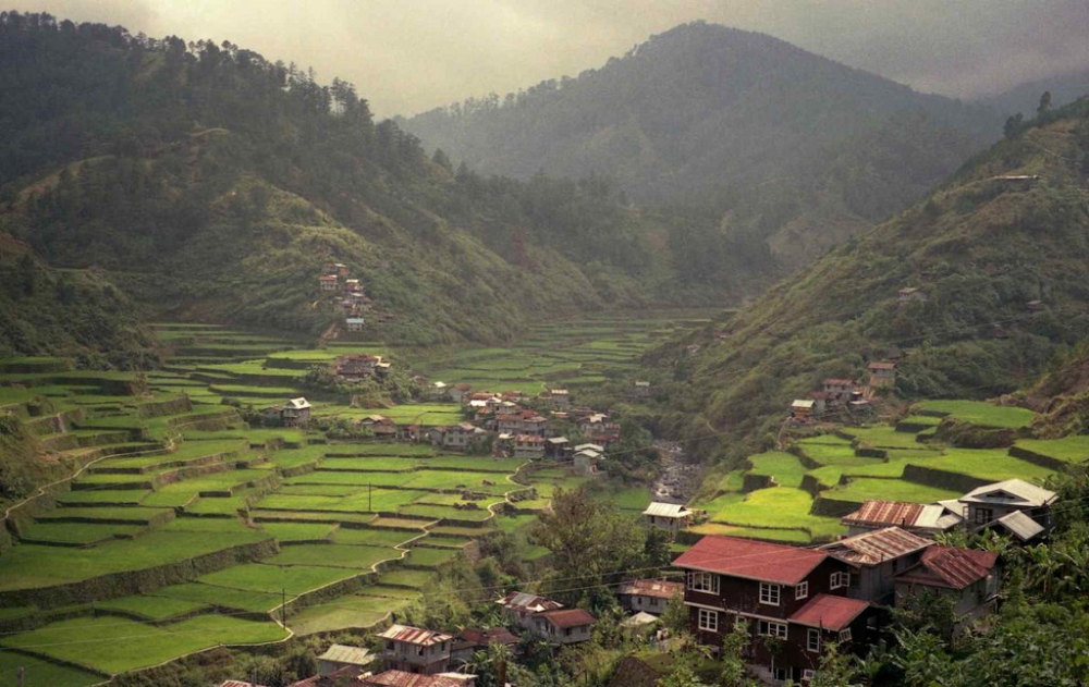 Featured image for Solstice, Ayyew & Earthen