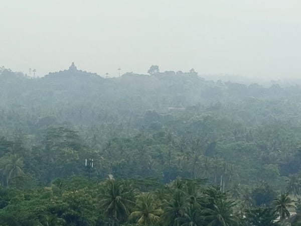 Harapan Hijau untuk Tahun Baru yang Hebat!  🎉💚🌏